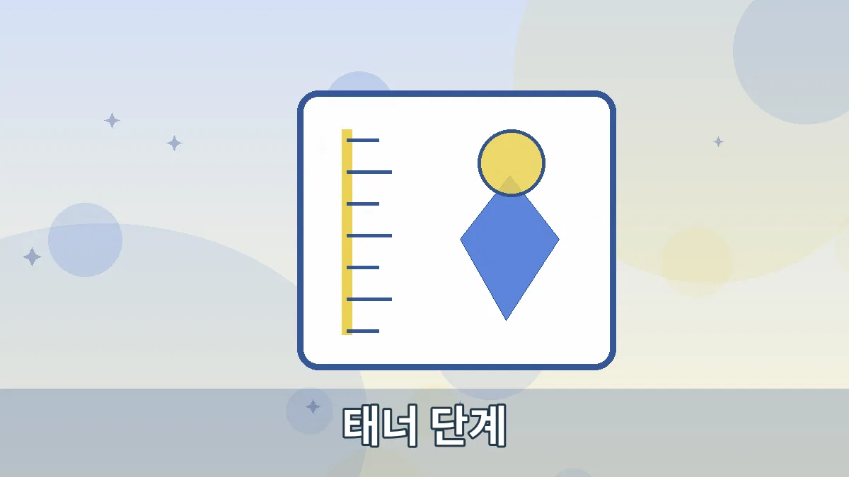 태너 단계 안내 이미지 2